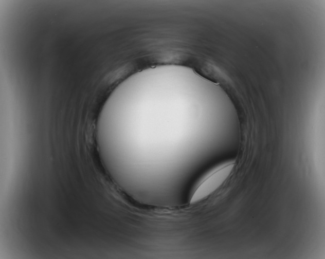 X0000085320325200703091120