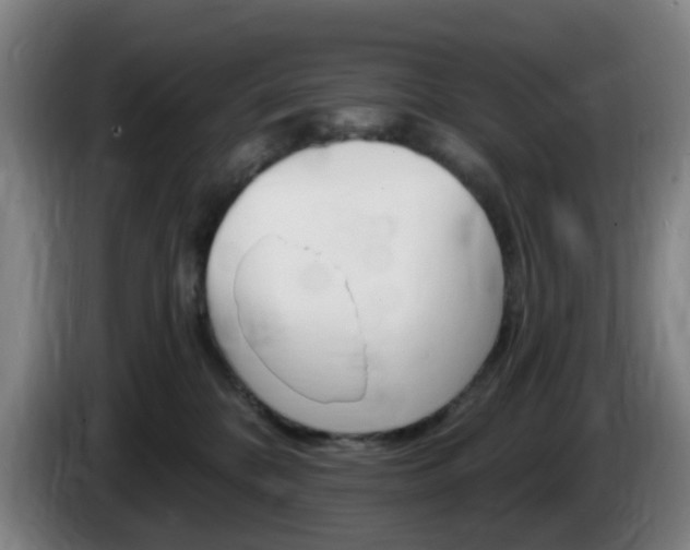 X0000085320328200703091120