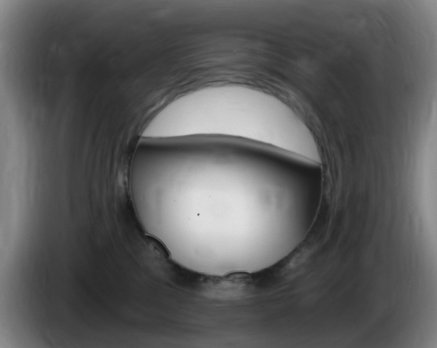 X0000085320329200703091120