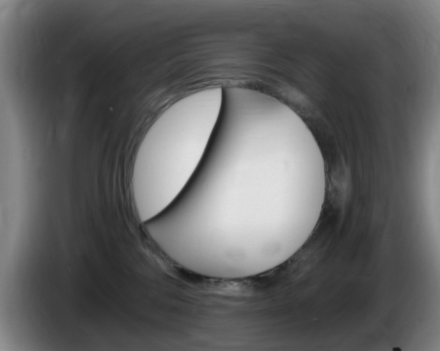 X0000085320330200703091120