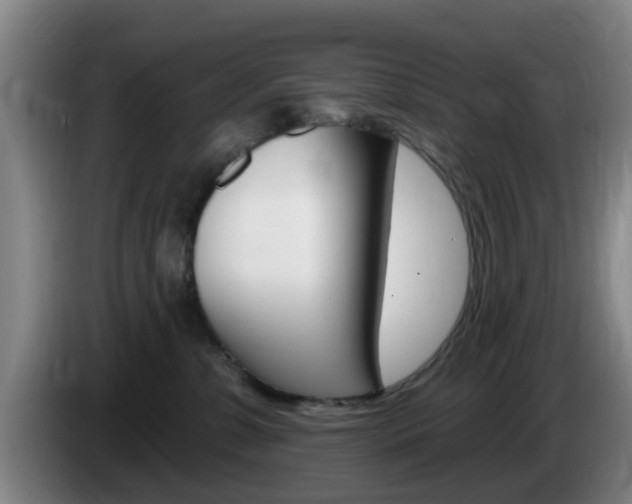 X0000085320331200703091120