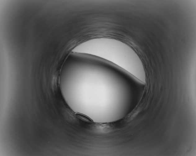 X0000085320333200703091120
