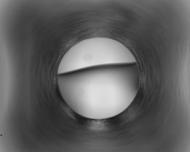X0000085320335200703091120