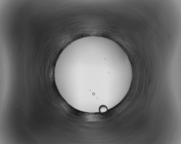 X0000085320336200703091120