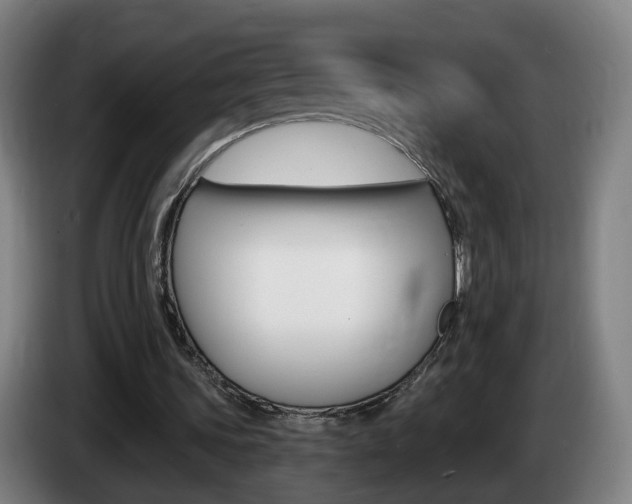 X0000085320339200703091119