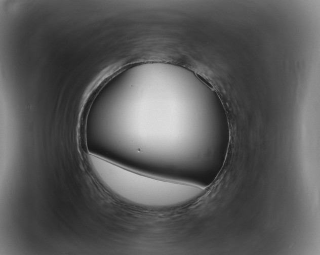 X0000085320340200703091119