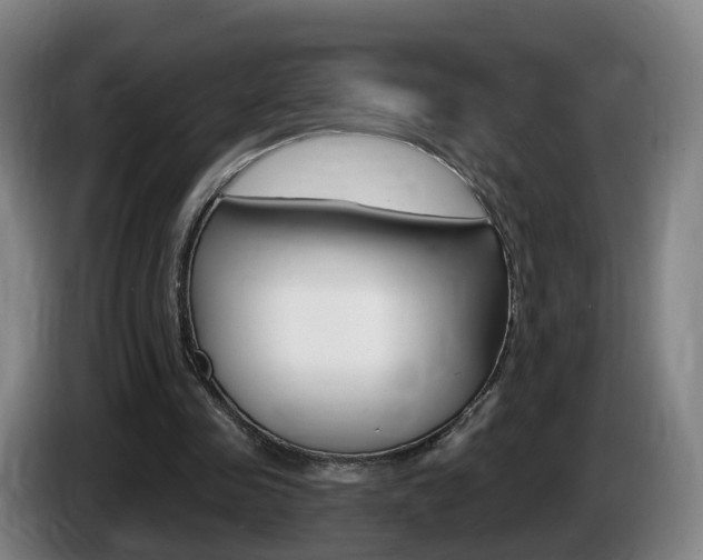 X0000085320341200703091119