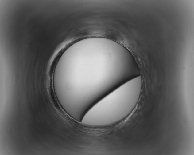 X0000085320342200703091119