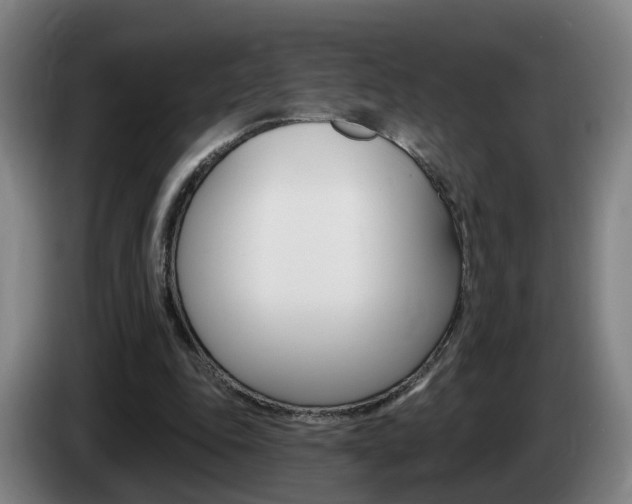 X0000085320343200703091119