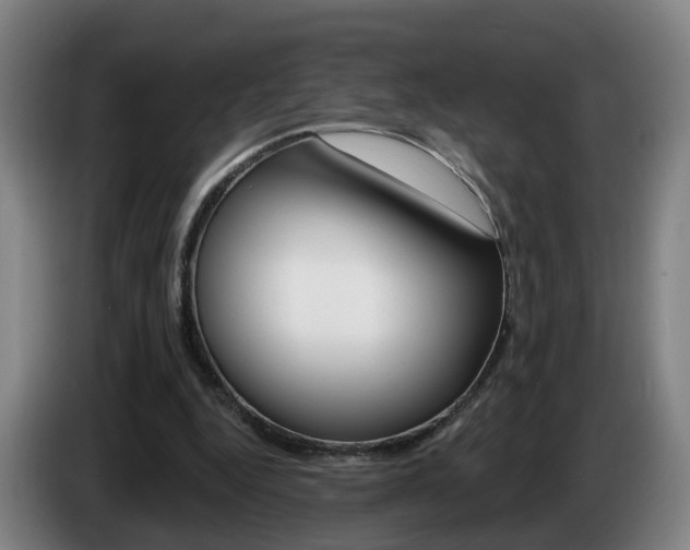X0000085320344200703091119