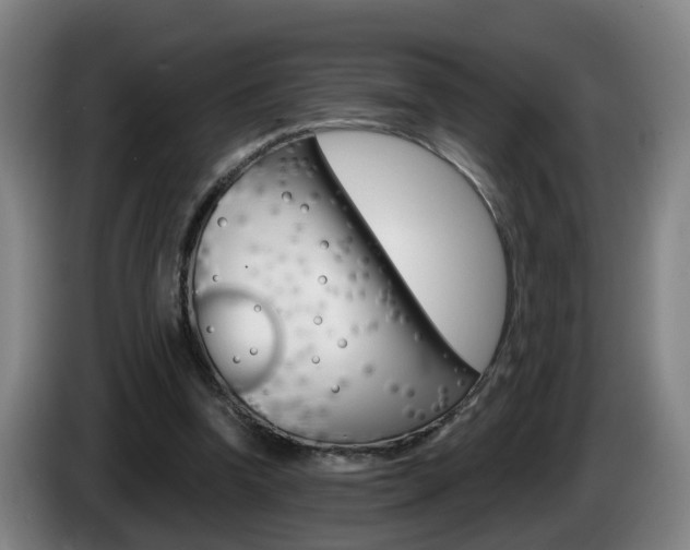 X0000085320346200703091119