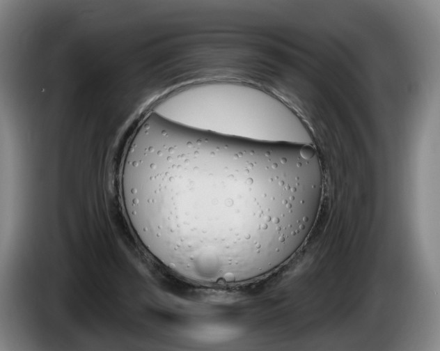 X0000085320347200703091119
