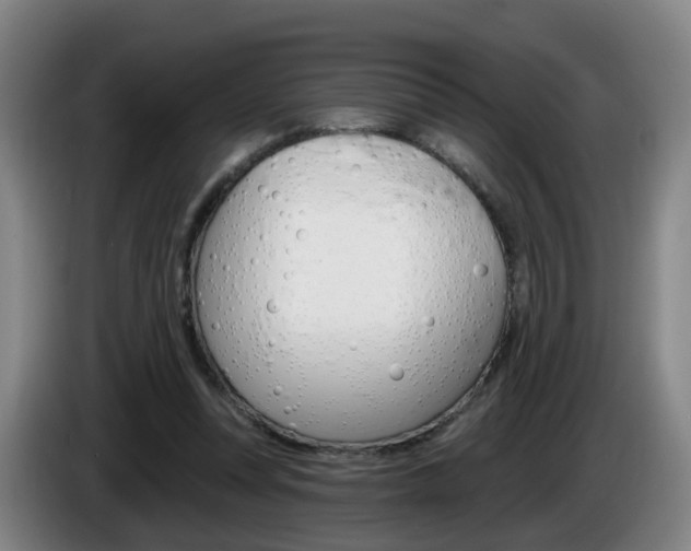 X0000085320351200703091119