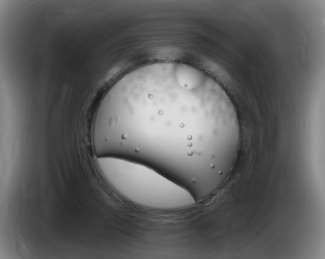 X0000085320354200703091119