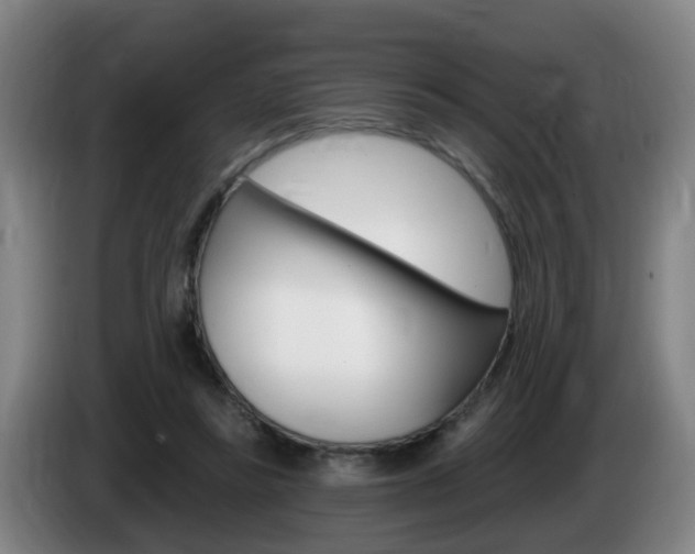 X0000085320355200703091119