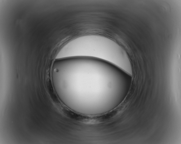 X0000085320356200703091120