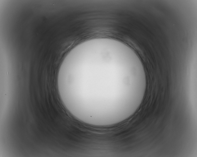 X0000085320362200703091120