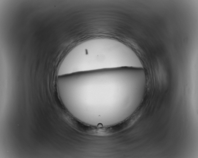 X0000085320365200703091120