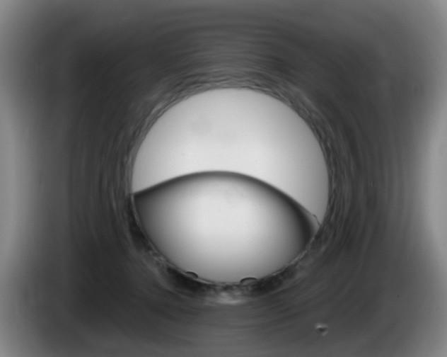 X0000085320368200703091120
