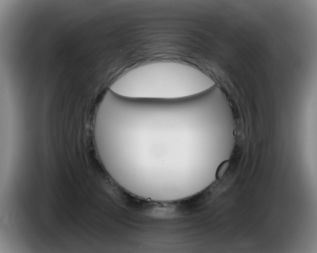 X0000085320369200703091120