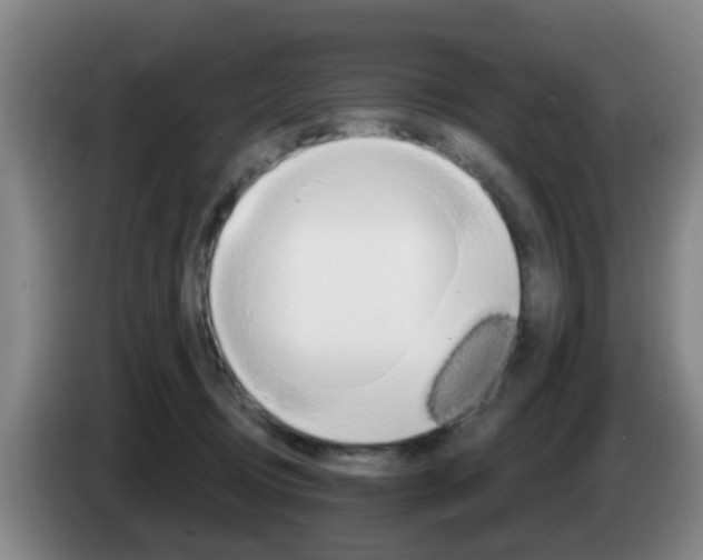 X0000085320370200703091120
