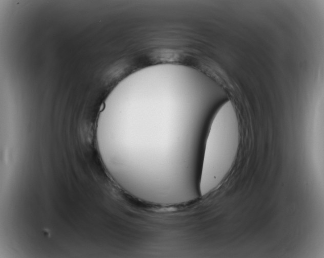 X0000085320374200703091120