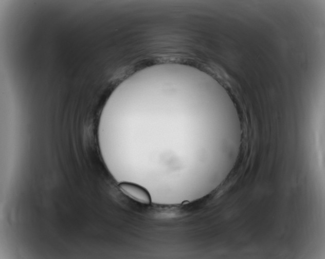 X0000085320377200703091120
