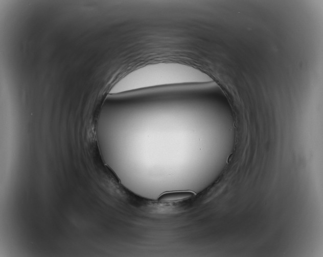 X0000085320384200703091120