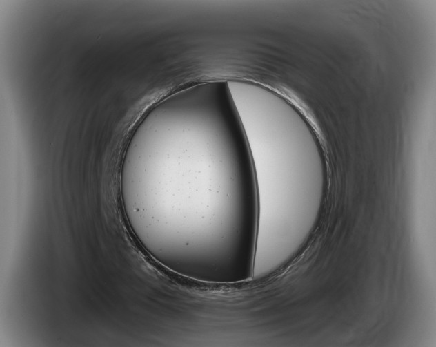 X0000085320385200703091119