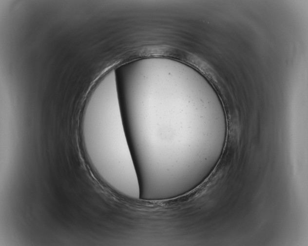 X0000085320386200703091119