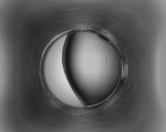 X0000085320387200703091119