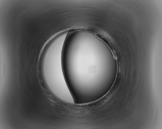 X0000085320388200703091119