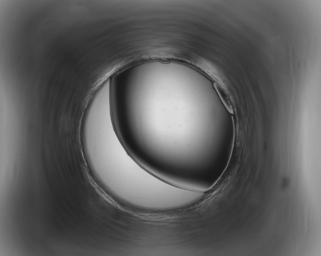 X0000085320389200703091119