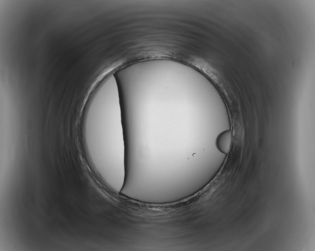 X0000085320390200703091119