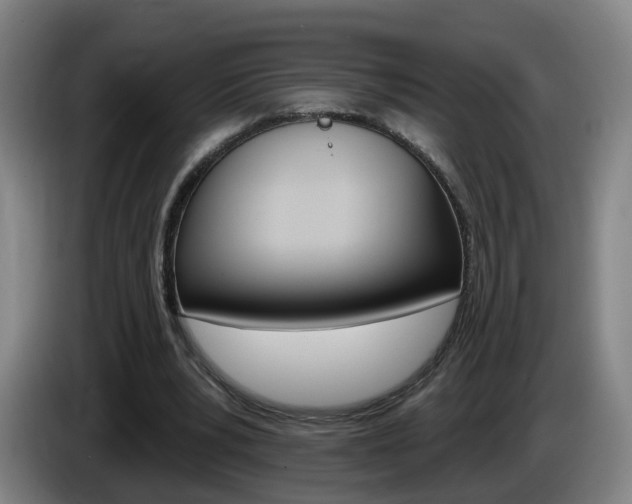 X0000085320391200703091119