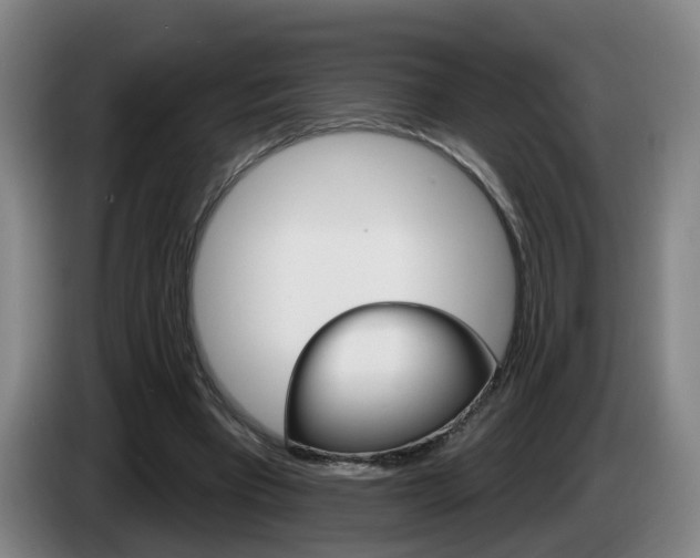 X0000085320393200703091119