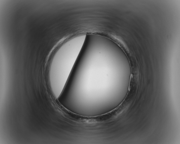 X0000085320395200703091119