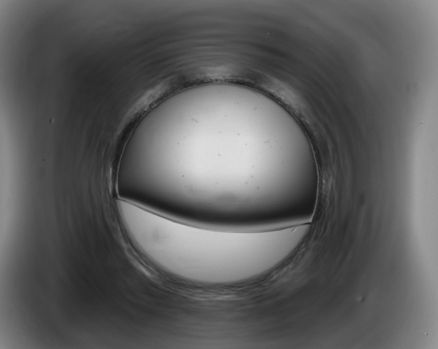 X0000085320397200703091119