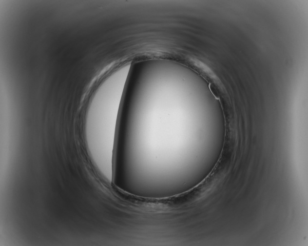 X0000085320399200703091119