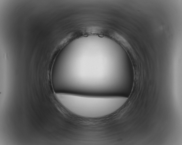 X0000085320401200703091119