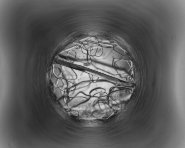 X0000085320405200703091119