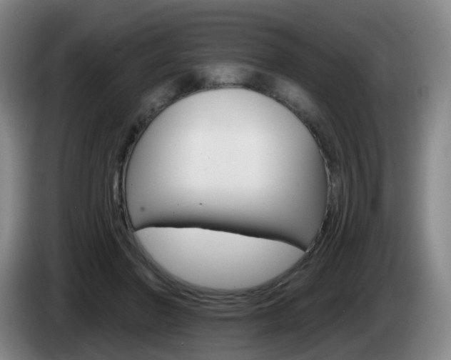 X0000085320406200703091119