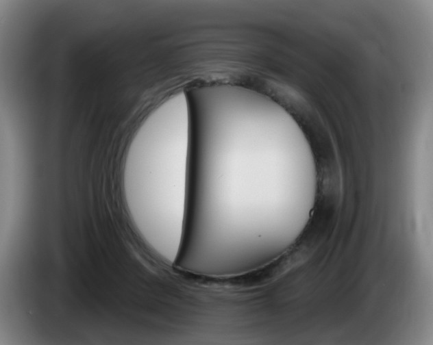 X0000085320408200703091119