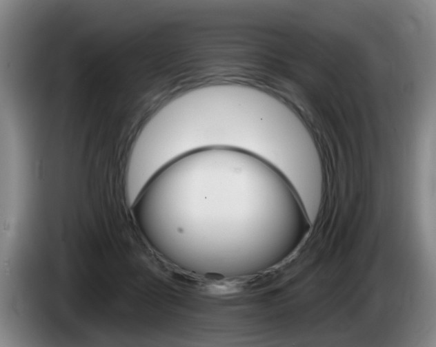 X0000085320411200703091119