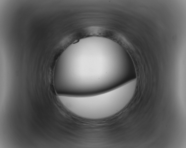 X0000085320413200703091119