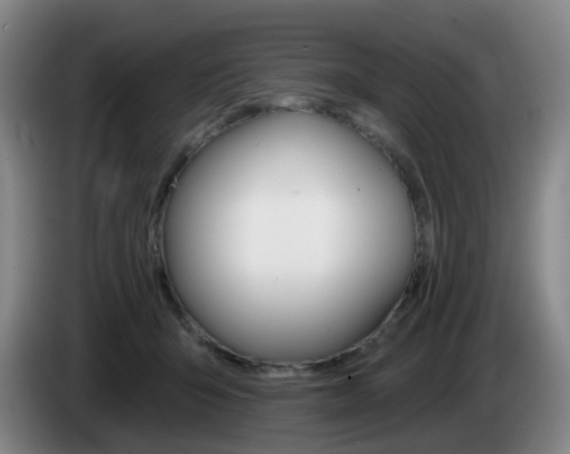 X0000085320415200703091119