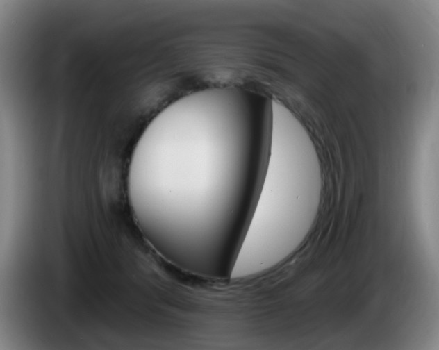 X0000085320416200703091119