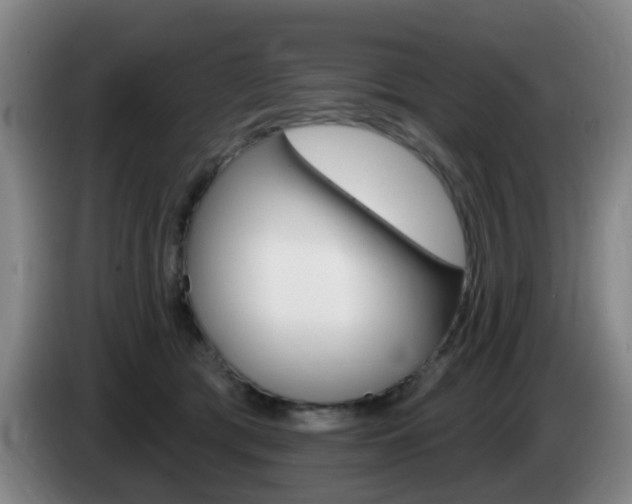 X0000085320417200703091119