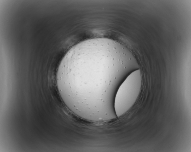 X0000085320418200703091119