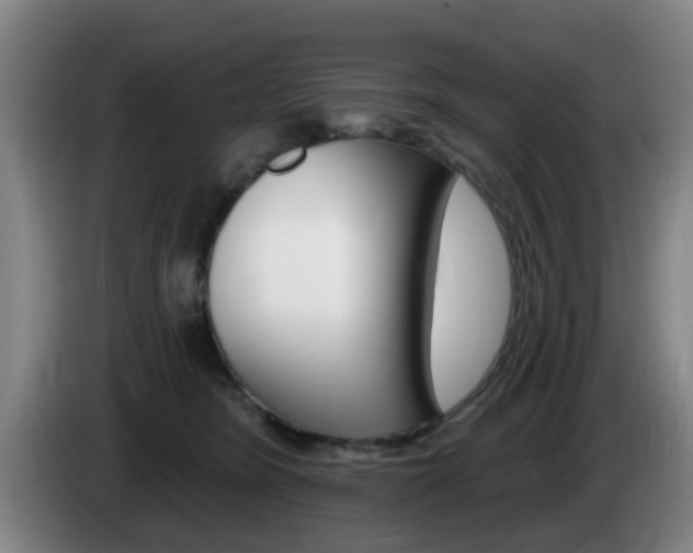 X0000085320420200703091119